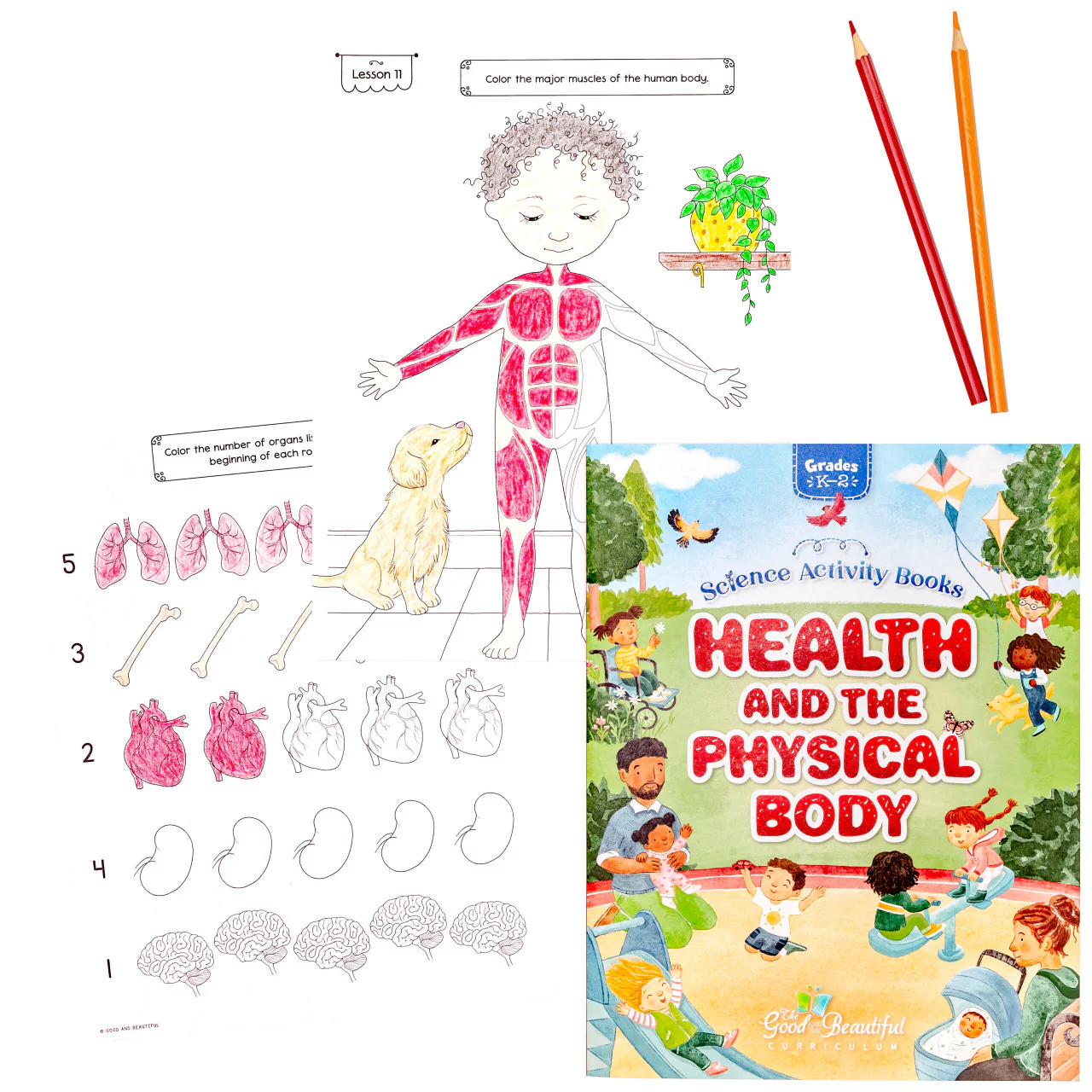 Thumbnail 2